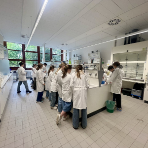 NatLab_1