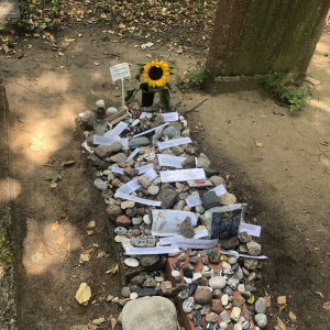 Jüdischer Friedhof1 2025