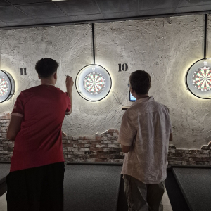 Dartspiel
