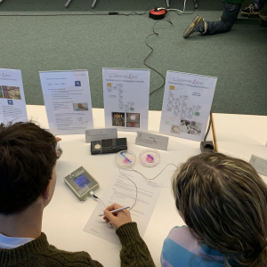 Radioaktive-Materialien