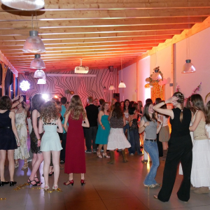 Frühlingsball1 2026